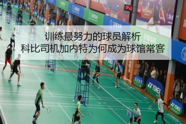 训练最努力的球员解析 科比司机加内特为何成为球馆常客